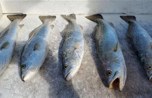 Modern and Coastal Ocean Pointe 2307 - Foto 59