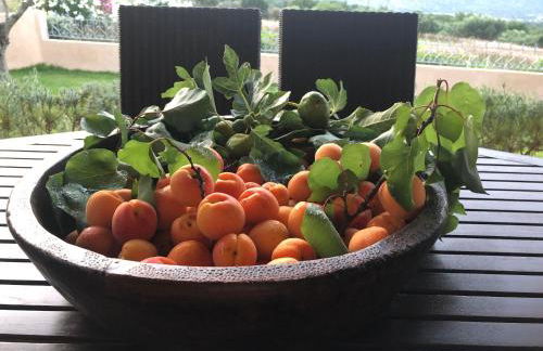 Penelope Dream Pool Villa - Foto 65