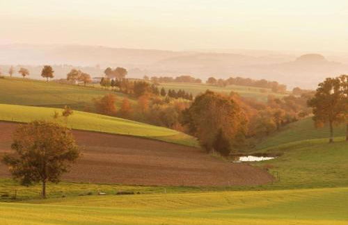 Holiday Home in Auvergne With Roofed Garden and Terrace - Foto 149