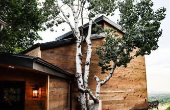 Luxury Alpine Treehouse - Foto 41