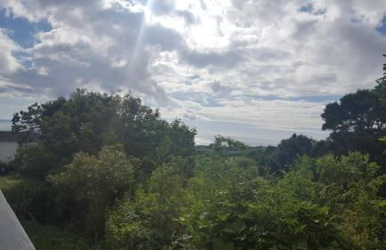 Vivenda Paraíso - Photo 18