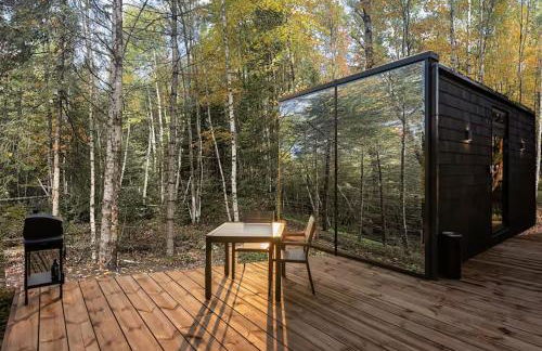 Balsam Fir Mirror House at FarAway Pond - Foto 2