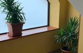 BB Borgo Biella Tree - Foto 9