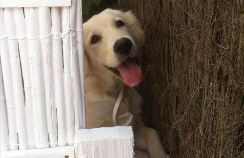 Apartamentos Villa Nadine - Foto 67