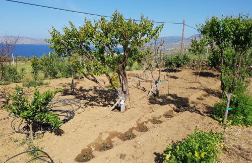 Hand Crafted with sea View - Foto 31