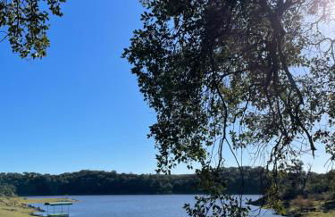 Monte de Bordalos - Foto 74