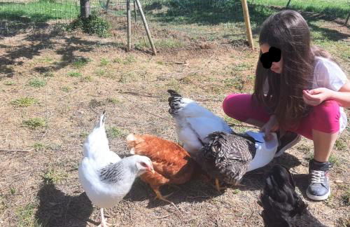 Agriturismo Rosa Antica - Foto 24