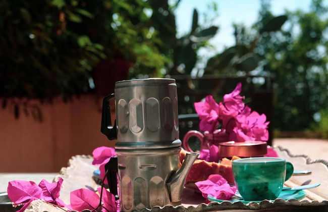 Fattoria Terranova - Foto 74