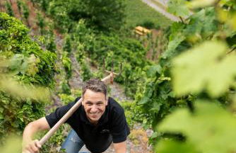 Claes Weinquartier - Appartements & Wein by Niko Schmitt - Foto 32