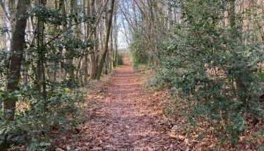 gîte le Dauphin - Foto 2