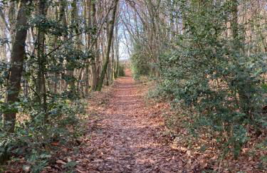 gîte le Dauphin - Photo 2