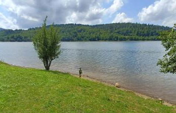 Aurora on the lake - Foto 21