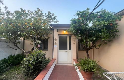 Nel giardino di Nunziatina - Photo 19