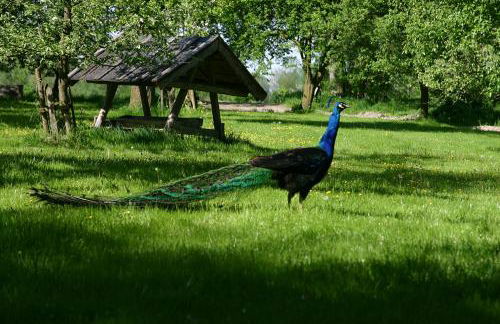 Appartementhof Stadler - Foto 72