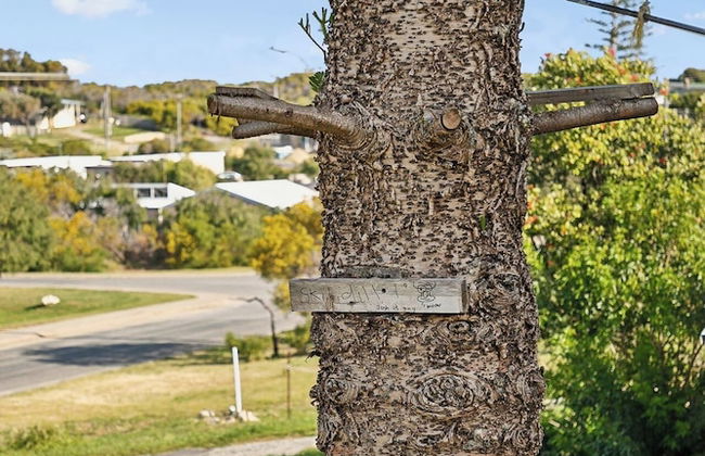 Sunnybank - Photo 36