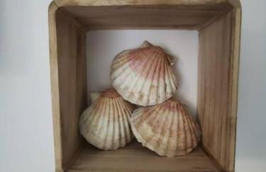 Ôcalme, Idéal à 2, jardin, plage - Foto 9