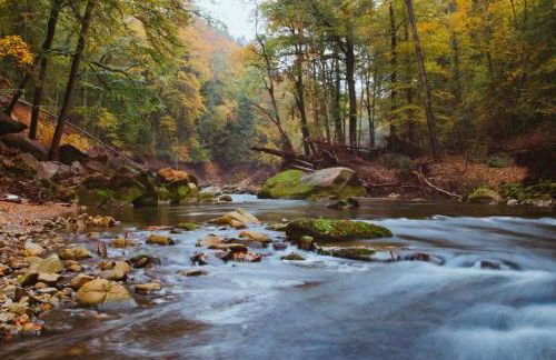 FERIENHAUS FERIENWOHNUNG EIFEL-ARDENNEN BLOCKHAUS Viebighaus - Foto 26