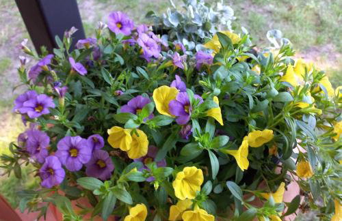 Jeziorskie Zacisze & balia - Foto 7