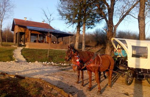 Evergreen house Plitvice - Foto 16