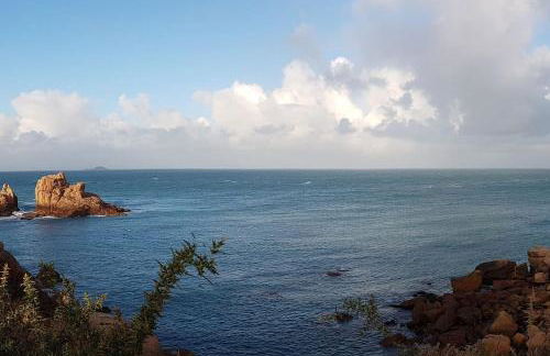 La maison aux Hortensias, 1km de la plage, proche du sillon de Talbert - Foto 24