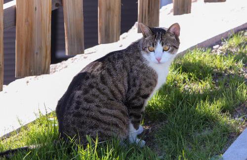 Haidgerberhof - apartments & homemade food - Foto 64