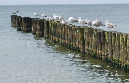 Resort Hevenia Apartament Nr 8 - Foto 28