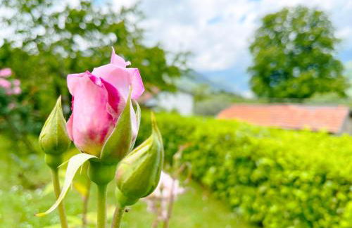 Villa Martino - Foto 20