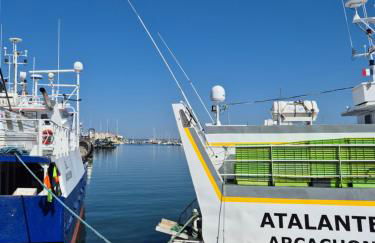 Le B - A 200 m de la plage - Foto 39