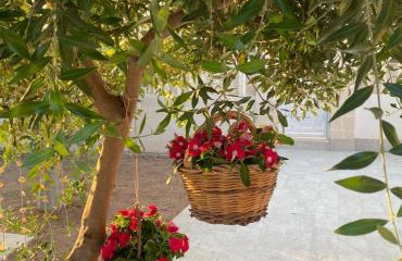 Villa Alto Mare - Foto 42