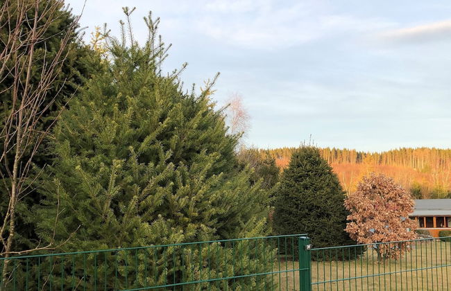 Holiday Home Near Harzgerode With Whirlpool - Foto 38