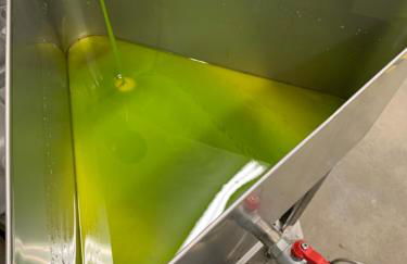 Agriturismo Il Sambuco - Foto 19