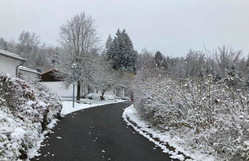 Ferienhaus Brandt im Ferienpark Falkenstein - Foto 60