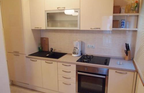 Suhi Potok apartment - Photo 9