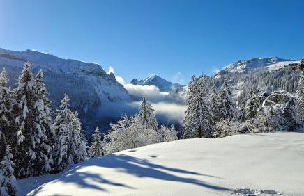 Appartement Flaine Forêt - Foto 73
