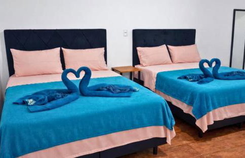 Pousada Miss Roses - Foto 5