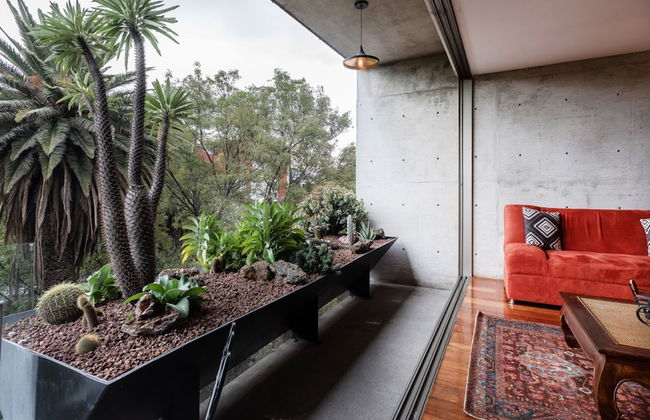 Destination Condesa @Tamaulipas Loft - Foto 12