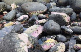 Casa La Caracola - Photo 5