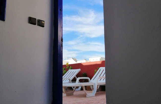 The Little Seagull 2 - Foto 19