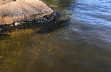 Casa Costa na beira da Lagoa acesso trilha ou barco - Foto 16