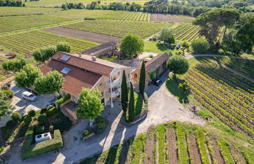 Gîte Lavande au milieu des vignes - Chateau les Apiès - Foto 15