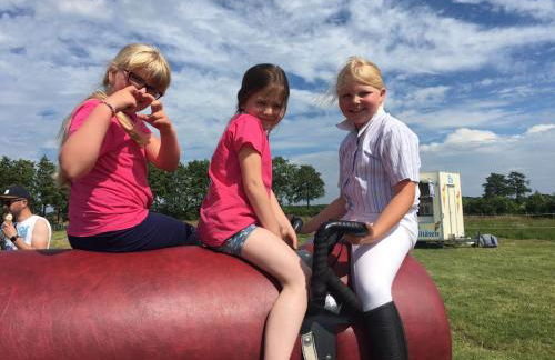 Wohlfühlurlaub auf dem Reit- und Ferienhof Goldberg - Foto 59