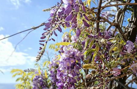 Apartamento Drago de StarApsTenerife - Foto 25