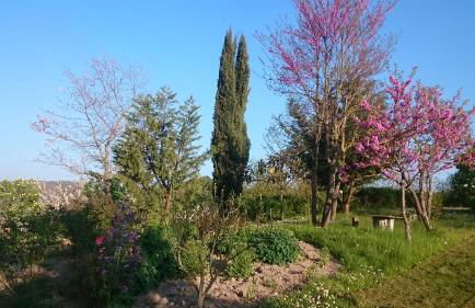 Monte Bibele - Foto 30