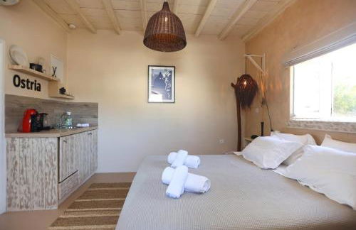 Maistrali Studio Ostria - Photo 10