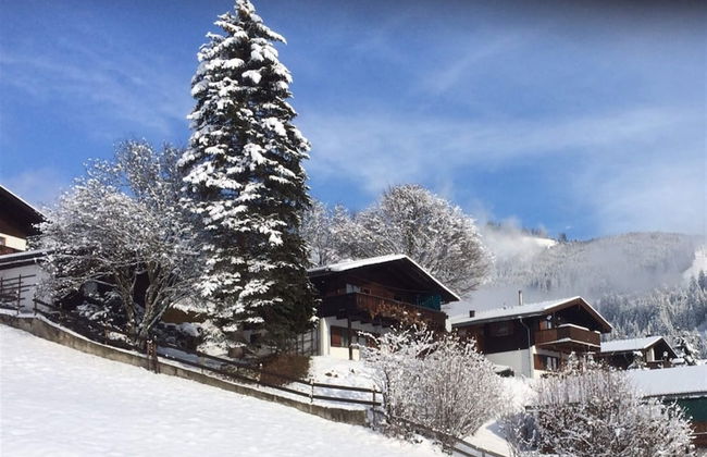 Chalet Anna Near Ski Area in Niedernsill - Foto 23