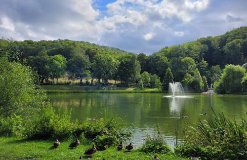 Ferienwohnung Pfauenhof - Foto 20