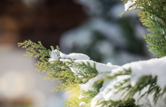 Ferienwohnungen Vomperberg - Foto 54