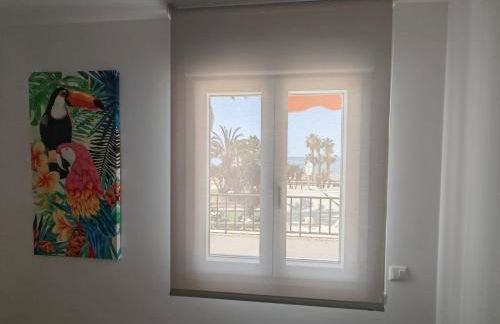 Puerto Blanco Mar - Foto 27