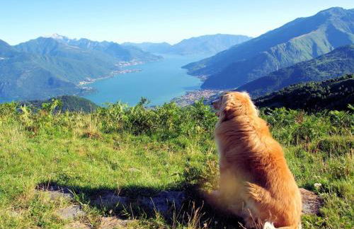 Holiday Home Le Baite di Bodone-1 by Interhome - Foto 46