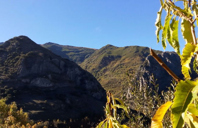 Cozy Cottage in Benllera with Hot Tub - Foto 32